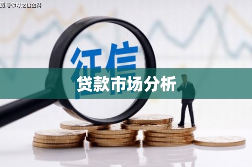 龙文贷款市场分析