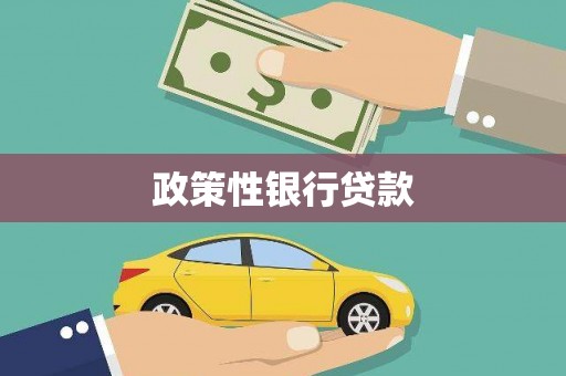 龙文政策性银行贷款