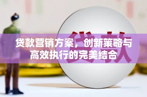 龙文贷款营销方案，创新策略与高效执行的完美结合