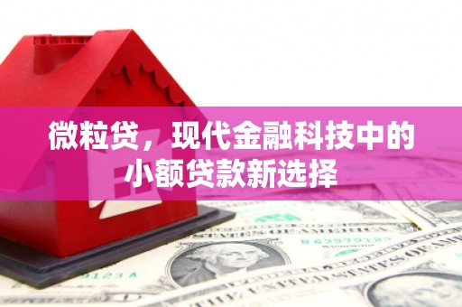 龙文微粒贷，现代金融科技中的小额贷款新选择