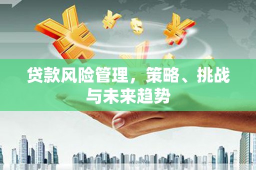 龙文贷款风险管理，策略、挑战与未来趋势