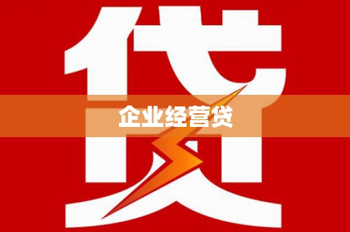龙文企业经营贷