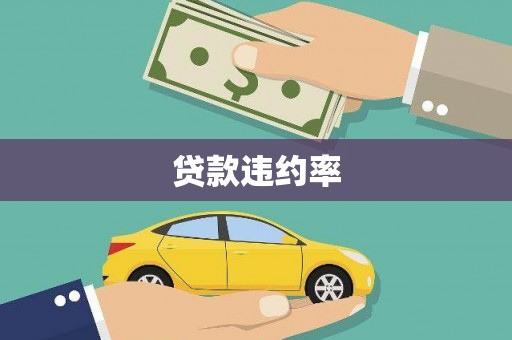 龙文贷款违约率