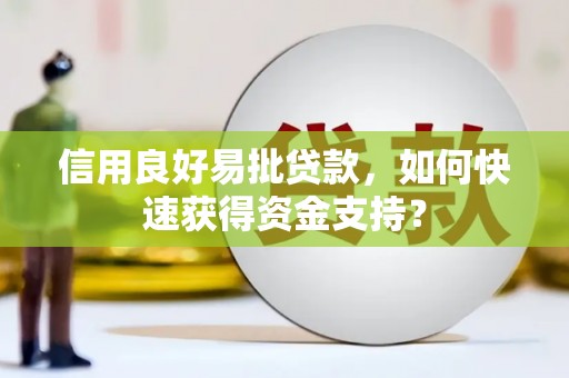 龙文信用良好易批贷款，如何快速获得资金支持？
