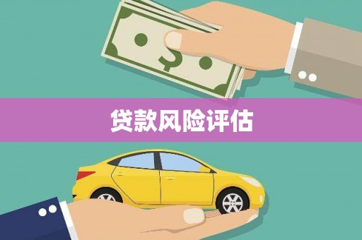龙文贷款风险评估
