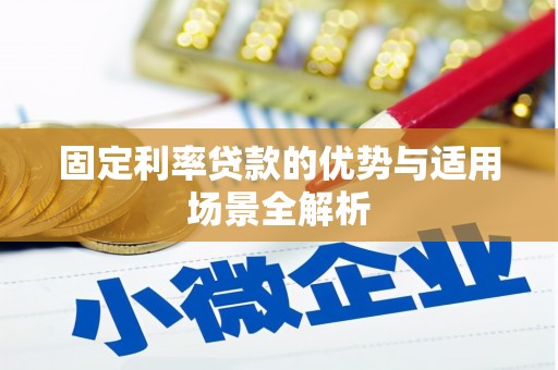 龙文固定利率贷款的优势与适用场景全解析