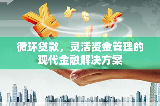 龙文循环贷款，灵活资金管理的现代金融解决方案