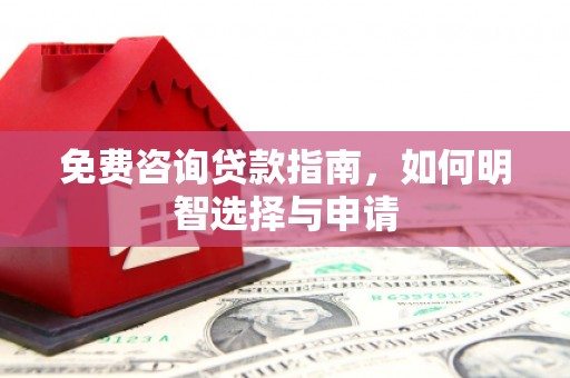 龙文免费咨询贷款指南，如何明智选择与申请