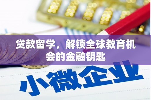 龙文贷款留学，解锁全球教育机会的金融钥匙