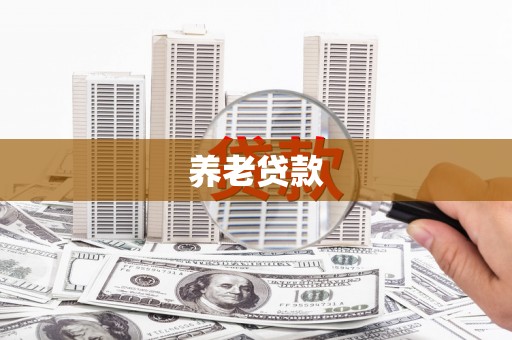 龙文养老贷款