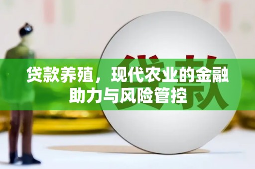龙文贷款养殖，现代农业的金融助力与风险管控
