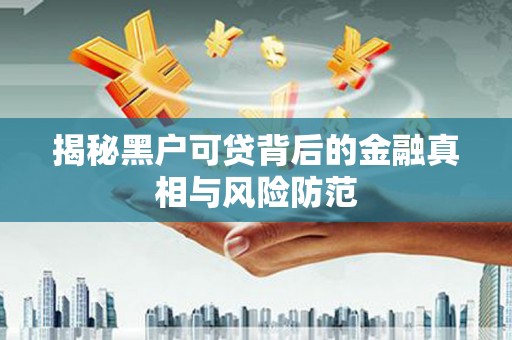 龙文揭秘黑户可贷背后的金融真相与风险防范