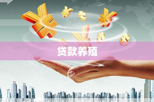 龙文贷款养殖