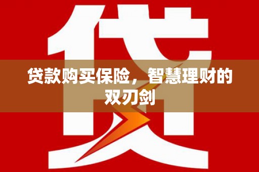 龙文贷款购买保险，智慧理财的双刃剑