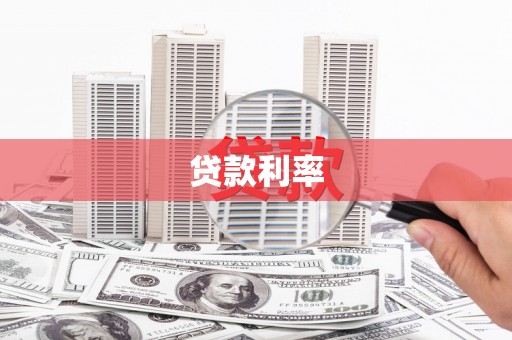 龙文贷款利率
