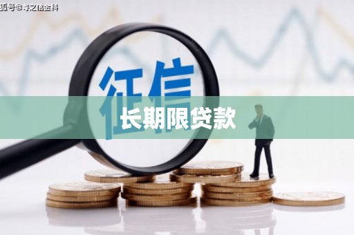 龙文长期限贷款