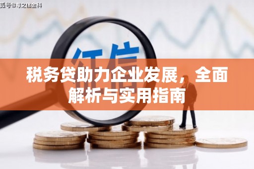 龙文税务贷助力企业发展，全面解析与实用指南