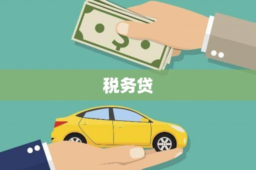 龙文税务贷