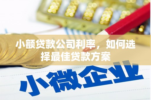 龙文小额贷款公司利率，如何选择最佳贷款方案