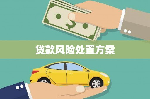 龙文贷款风险处置方案