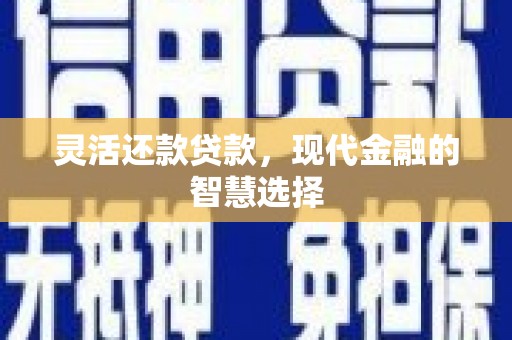 龙文灵活还款贷款，现代金融的智慧选择