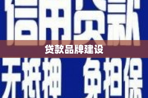 龙文贷款品牌建设