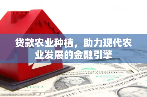 龙文贷款农业种植，助力现代农业发展的金融引擎