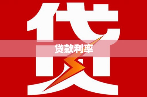 龙文贷款利率
