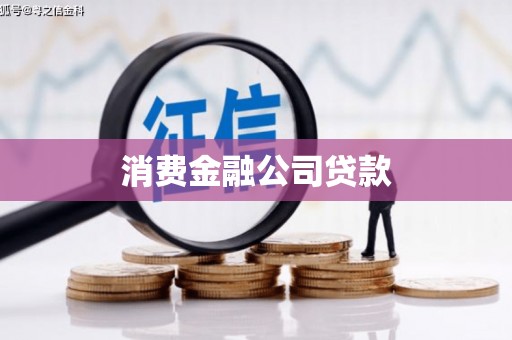 龙文消费金融公司贷款