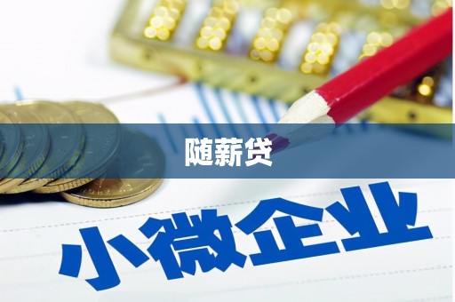 龙文随薪贷