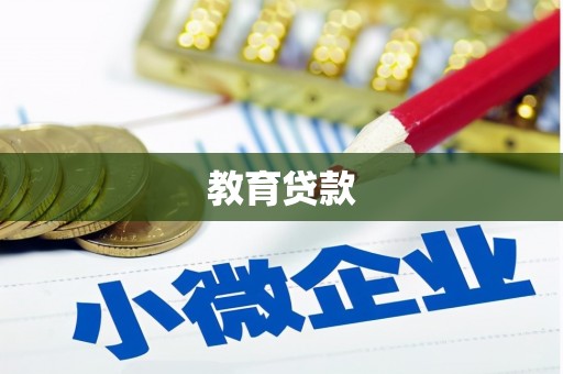龙文教育贷款