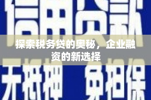 龙文探索税务贷的奥秘，企业融资的新选择