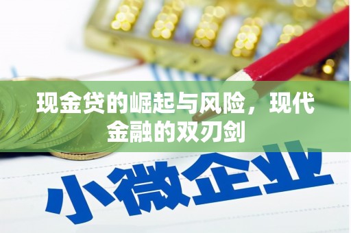 龙文现金贷的崛起与风险，现代金融的双刃剑