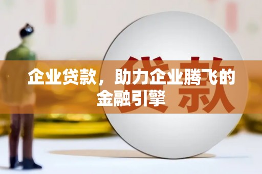 龙文企业贷款，助力企业腾飞的金融引擎
