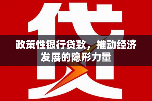 龙文政策性银行贷款，推动经济发展的隐形力量