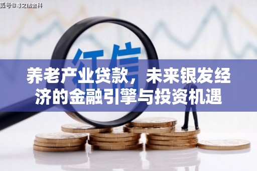龙文养老产业贷款，未来银发经济的金融引擎与投资机遇