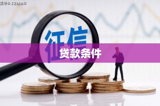 龙文贷款条件