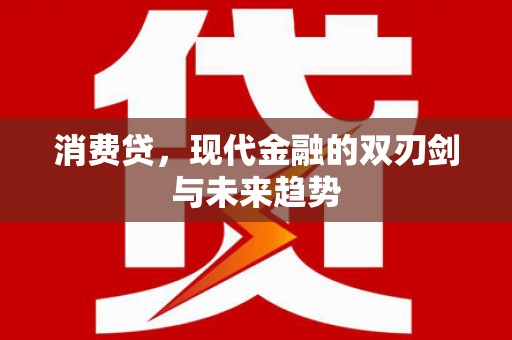 龙文消费贷，现代金融的双刃剑与未来趋势