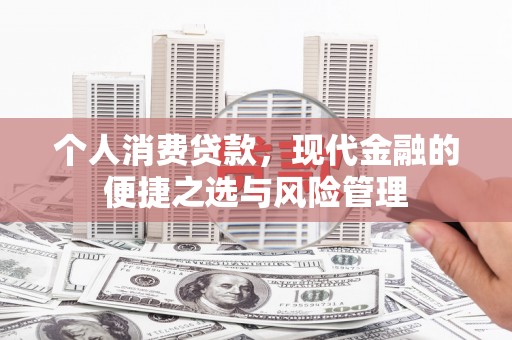 龙文个人消费贷款，现代金融的便捷之选与风险管理