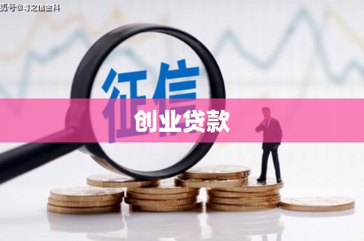 龙文创业贷款