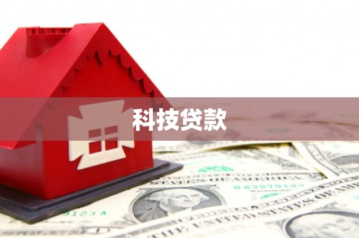龙文科技贷款