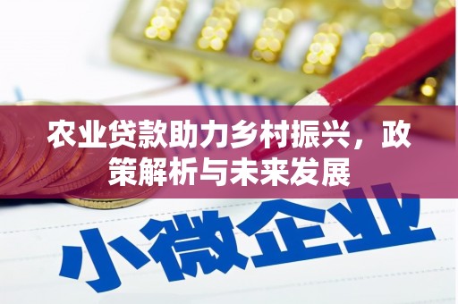 龙文农业贷款助力乡村振兴，政策解析与未来发展