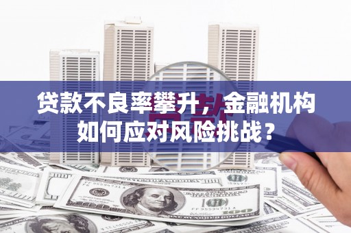 龙文贷款不良率攀升，金融机构如何应对风险挑战？