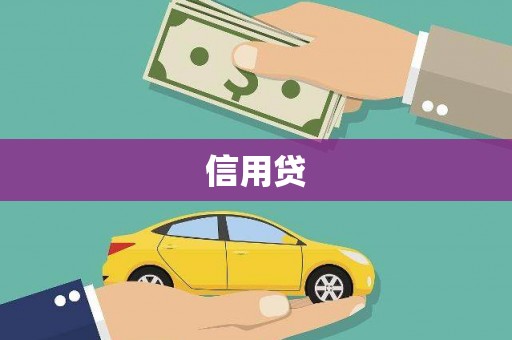 龙文信用贷