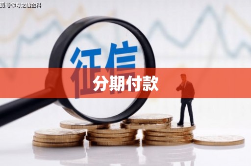 龙文分期付款