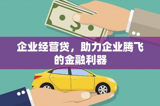 龙文企业经营贷，助力企业腾飞的金融利器