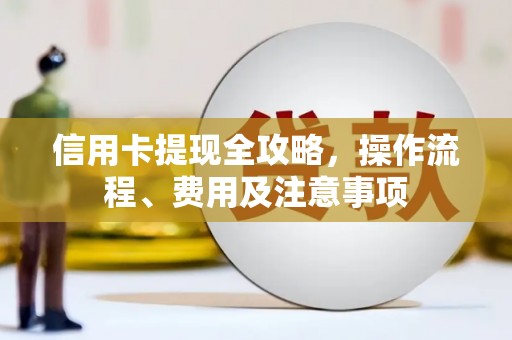 龙文信用卡提现全攻略，操作流程、费用及注意事项