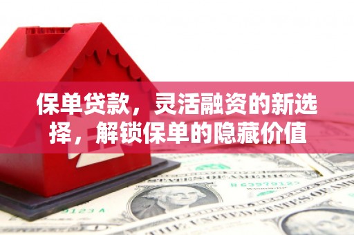 龙文保单贷款，灵活融资的新选择，解锁保单的隐藏价值