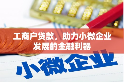 龙文工商户贷款，助力小微企业发展的金融利器