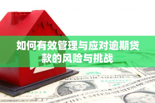 龙文如何有效管理与应对逾期贷款的风险与挑战